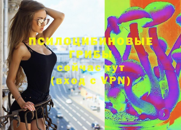 синтетический гашиш Алексин